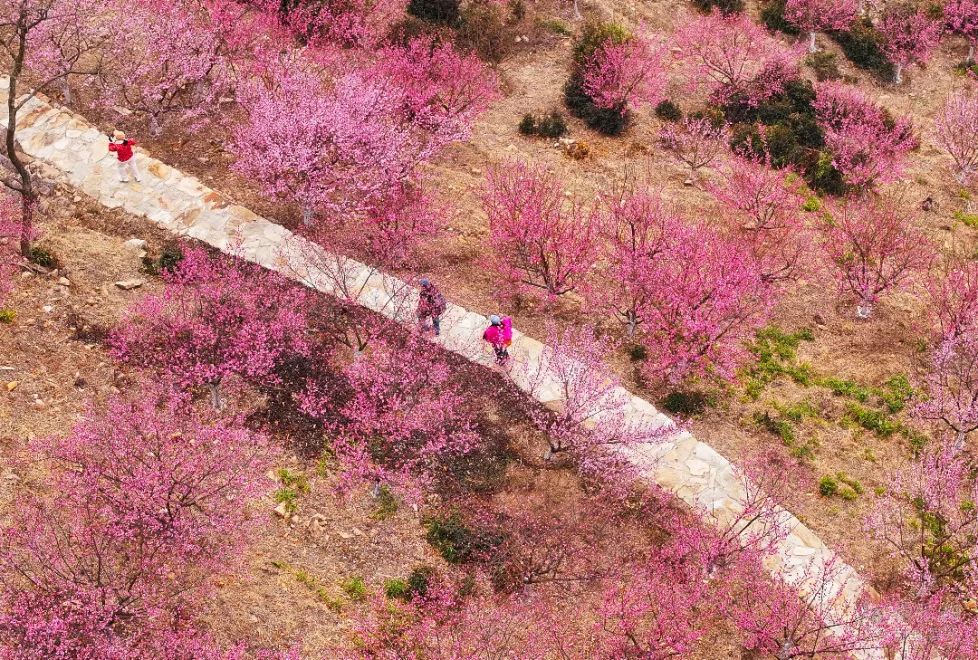 中国正能量：让点点星光汇聚成璀璨银河